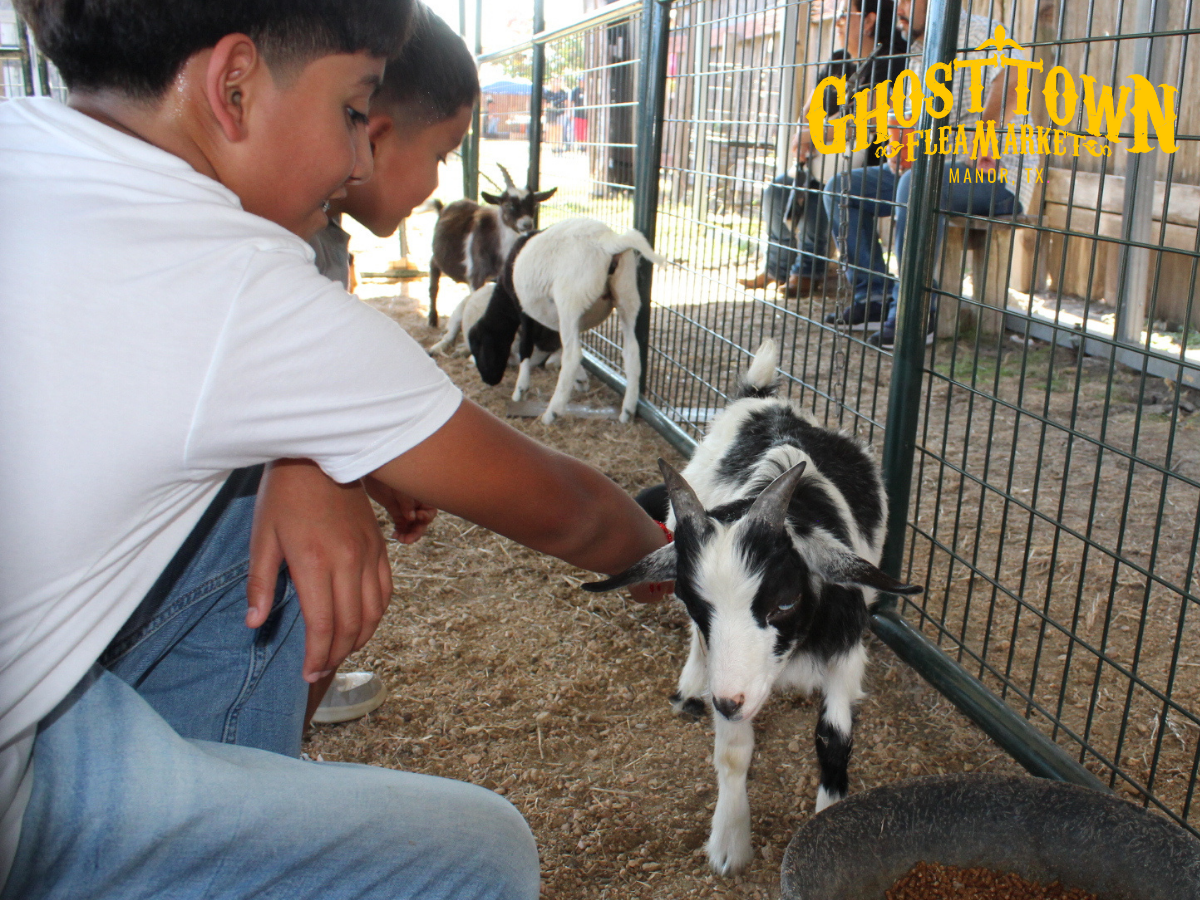 Ghost Town Manor Flea Market - Image 4